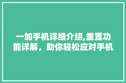 一加手机详细介绍,重置功能详解，助你轻松应对手机困境