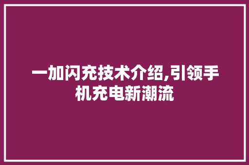 一加闪充技术介绍,引领手机充电新潮流