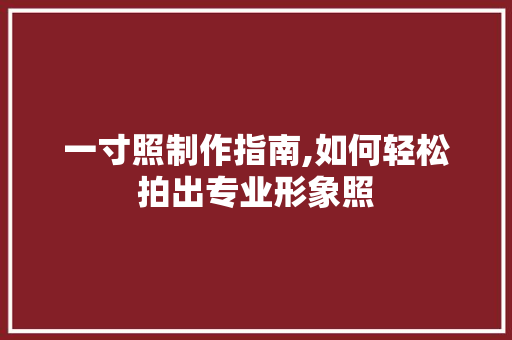 一寸照制作指南,如何轻松拍出专业形象照