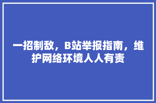 一招制敌，B站举报指南，维护网络环境人人有责
