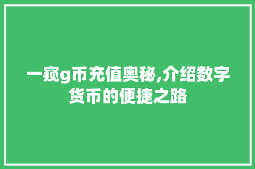 一窥g币充值奥秘,介绍数字货币的便捷之路