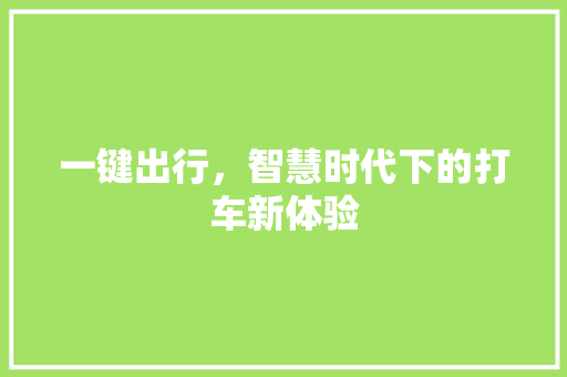 一键出行，智慧时代下的打车新体验