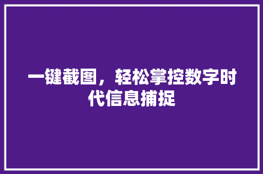 一键截图，轻松掌控数字时代信息捕捉