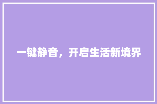 一键静音，开启生活新境界