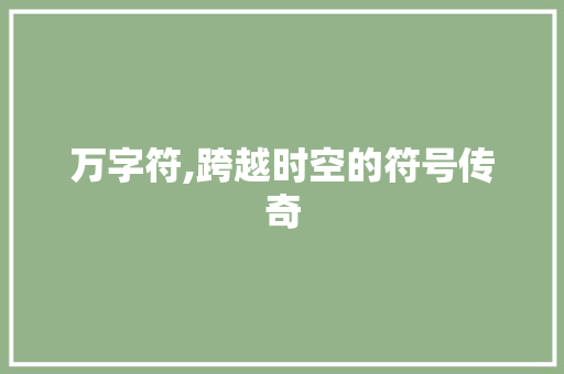 万字符,跨越时空的符号传奇