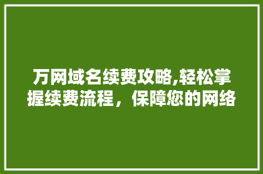 万网域名续费攻略,轻松掌握续费流程，保障您的网络资产安全