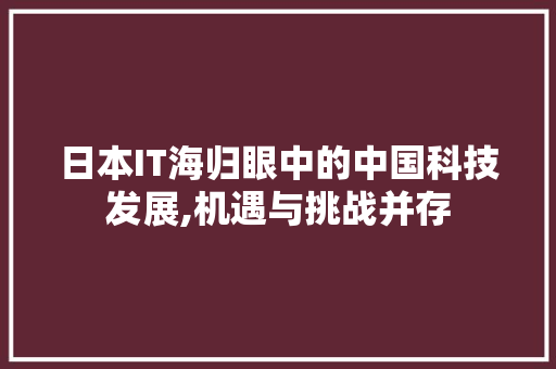 日本IT海归眼中的中国科技发展,机遇与挑战并存