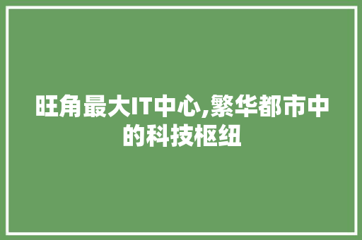 旺角最大IT中心,繁华都市中的科技枢纽