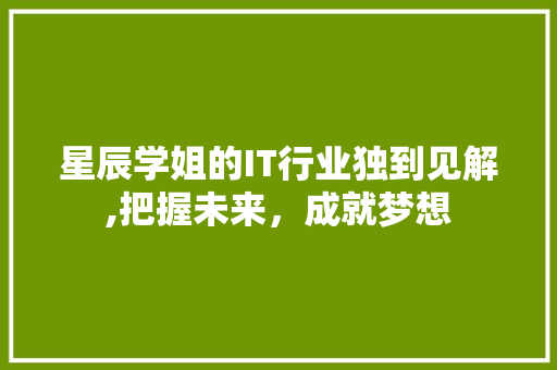 星辰学姐的IT行业独到见解,把握未来，成就梦想