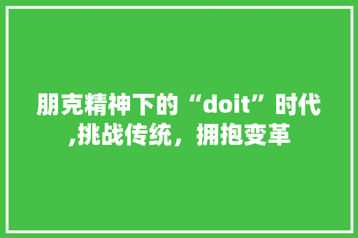 朋克精神下的“doit”时代,挑战传统，拥抱变革