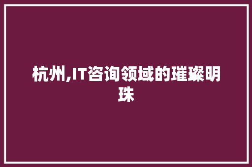 杭州,IT咨询领域的璀璨明珠