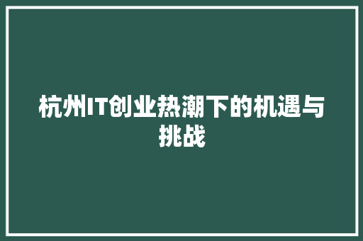 杭州IT创业热潮下的机遇与挑战