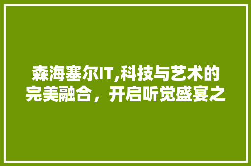 森海塞尔IT,科技与艺术的完美融合，开启听觉盛宴之旅