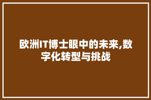欧洲IT博士眼中的未来,数字化转型与挑战