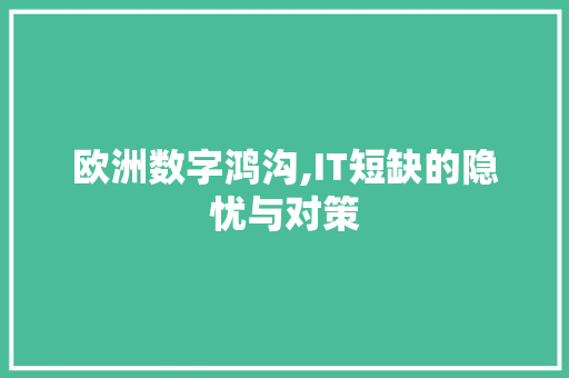 欧洲数字鸿沟,IT短缺的隐忧与对策