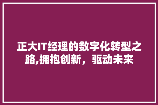 正大IT经理的数字化转型之路,拥抱创新，驱动未来