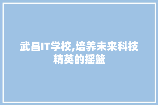 武昌IT学校,培养未来科技精英的摇篮