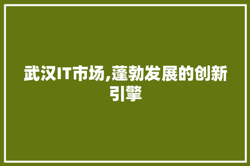 武汉IT市场,蓬勃发展的创新引擎