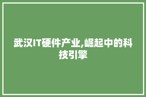 武汉IT硬件产业,崛起中的科技引擎