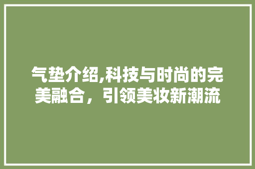 气垫介绍,科技与时尚的完美融合，引领美妆新潮流