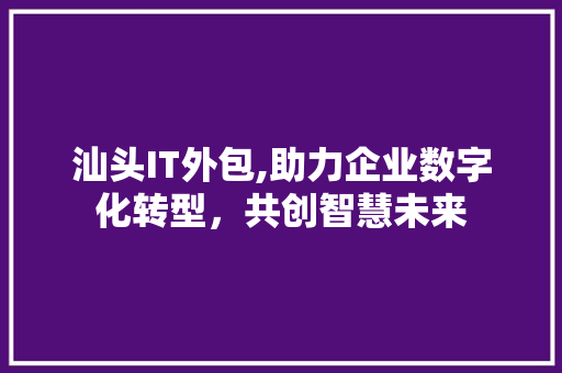 汕头IT外包,助力企业数字化转型，共创智慧未来