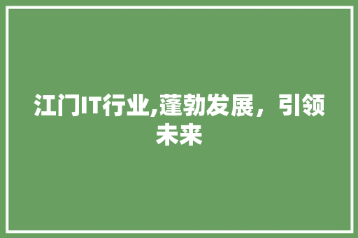江门IT行业,蓬勃发展，引领未来