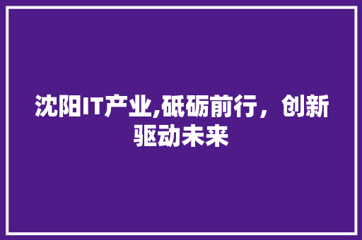 沈阳IT产业,砥砺前行，创新驱动未来