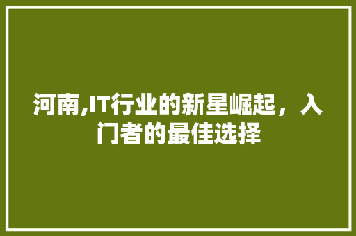 河南,IT行业的新星崛起，入门者的最佳选择