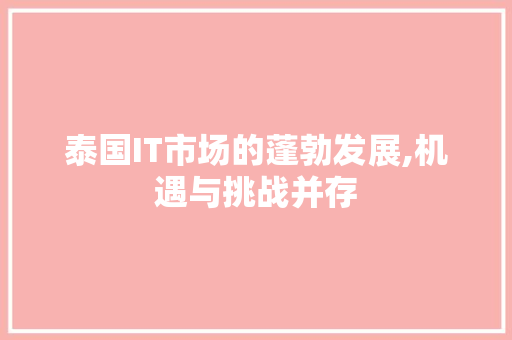 泰国IT市场的蓬勃发展,机遇与挑战并存