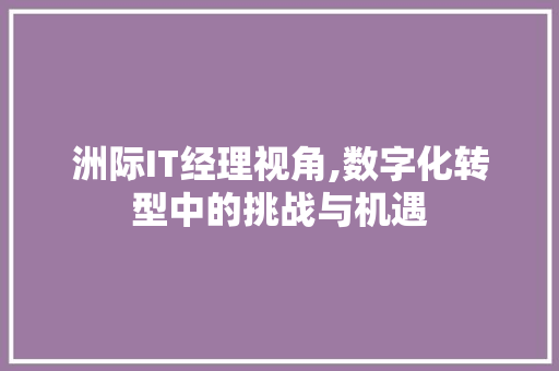 洲际IT经理视角,数字化转型中的挑战与机遇