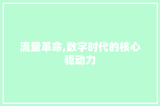 流量革命,数字时代的核心驱动力