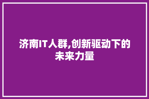 济南IT人群,创新驱动下的未来力量