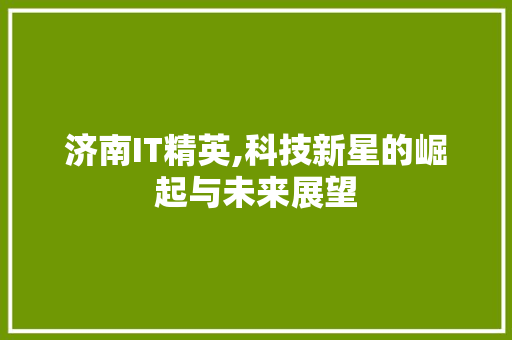 济南IT精英,科技新星的崛起与未来展望