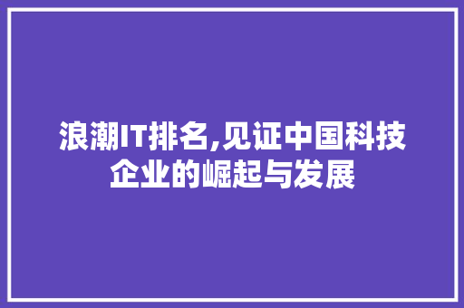 浪潮IT排名,见证中国科技企业的崛起与发展
