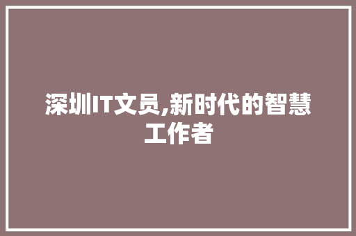 深圳IT文员,新时代的智慧工作者