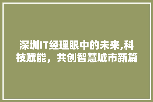 深圳IT经理眼中的未来,科技赋能，共创智慧城市新篇章