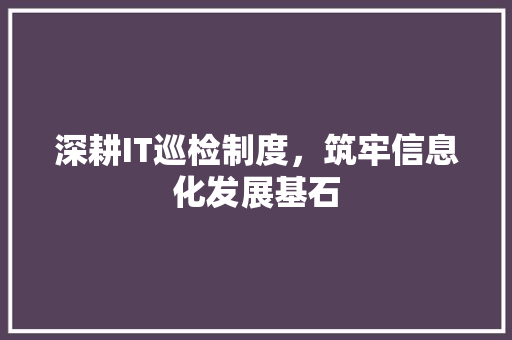 深耕IT巡检制度，筑牢信息化发展基石