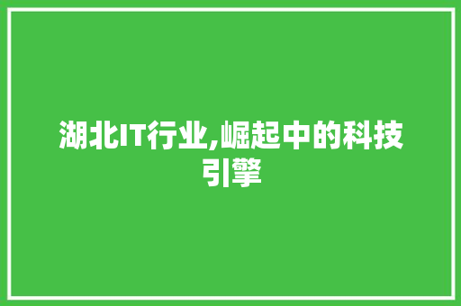 湖北IT行业,崛起中的科技引擎