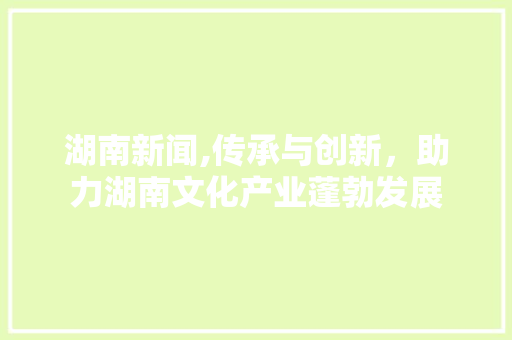 湖南新闻,传承与创新，助力湖南文化产业蓬勃发展