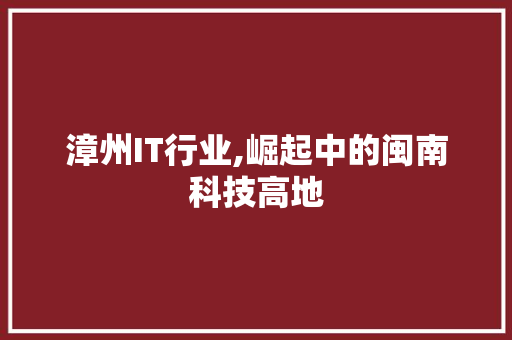 漳州IT行业,崛起中的闽南科技高地