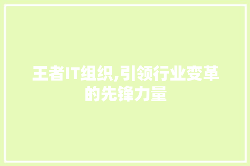王者IT组织,引领行业变革的先锋力量