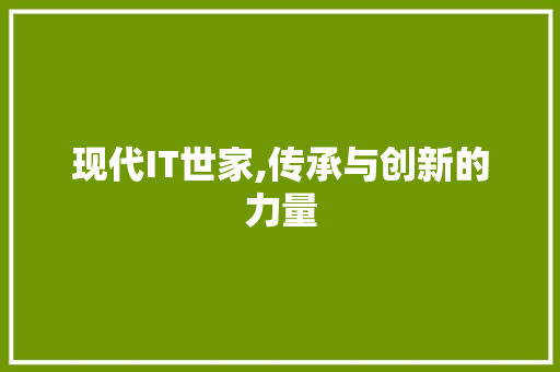 现代IT世家,传承与创新的力量