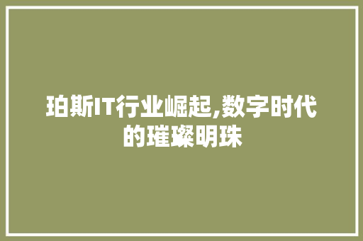 珀斯IT行业崛起,数字时代的璀璨明珠