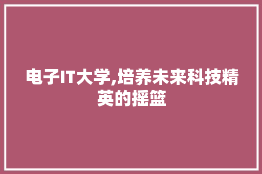 电子IT大学,培养未来科技精英的摇篮