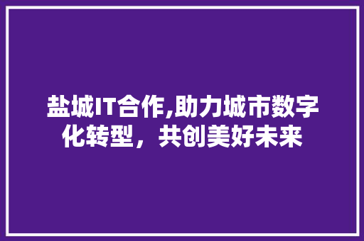 盐城IT合作,助力城市数字化转型，共创美好未来