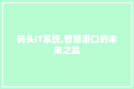 码头IT系统,智慧港口的未来之匙