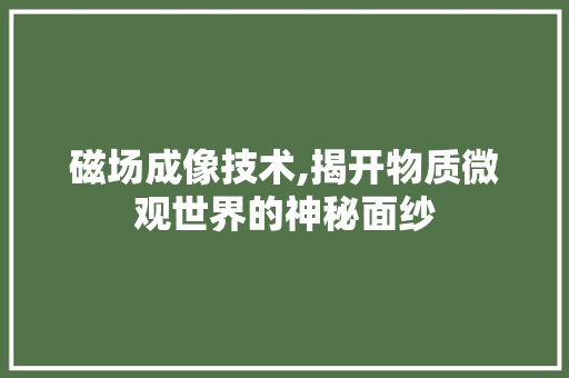 磁场成像技术,揭开物质微观世界的神秘面纱