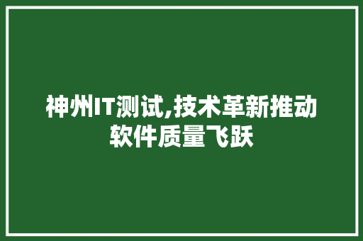 神州IT测试,技术革新推动软件质量飞跃