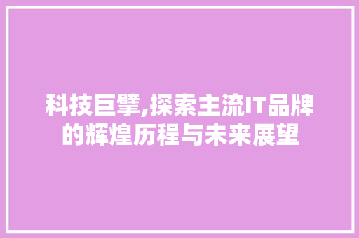 科技巨擘,探索主流IT品牌的辉煌历程与未来展望