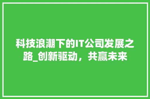 科技浪潮下的IT公司发展之路_创新驱动，共赢未来